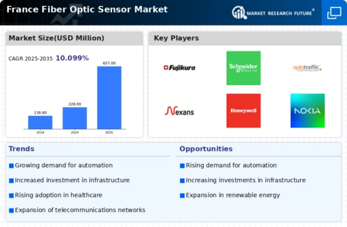 France Fiber Optic Sensor Market Infographic