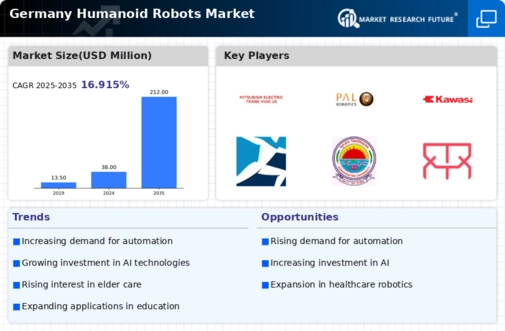Germany Humanoid Robots Market Infographic