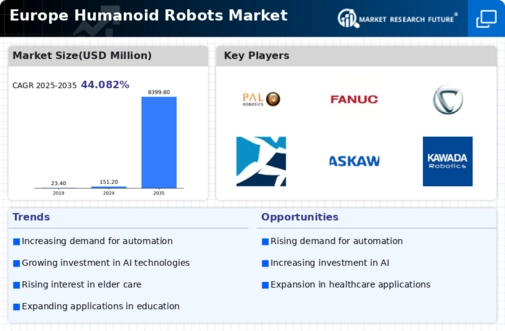 Europe Humanoid Robots Market Infographic