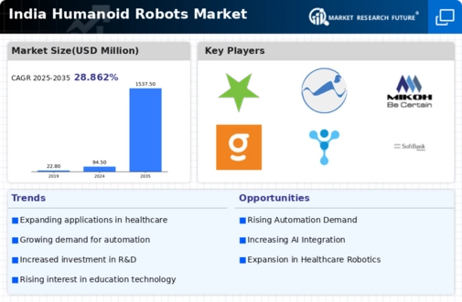 India Humanoid Robots Market Infographic