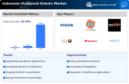 Indonesia Humanoid Robots Market Infographic