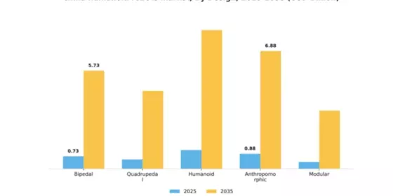China Humanoid Robots Market Segment Image 1