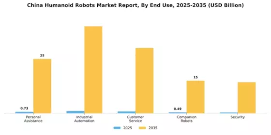 China Humanoid Robots Market Segment Image 1