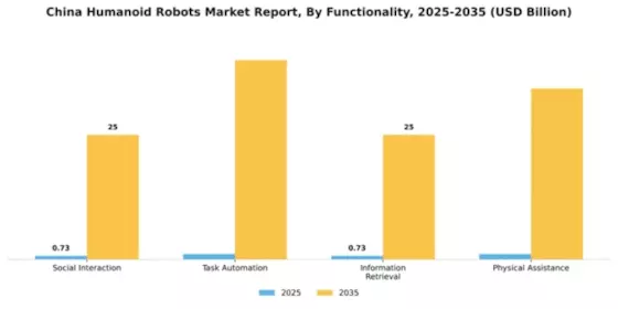 China Humanoid Robots Market Segment Image 2