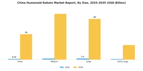China Humanoid Robots Market Segment Image 3