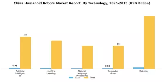 China Humanoid Robots Market Segment Image 4