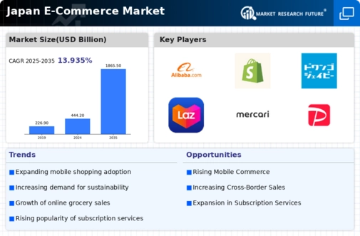 Japan E Commerce Market Infographic