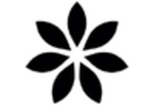 Spain E Commerce Market key player