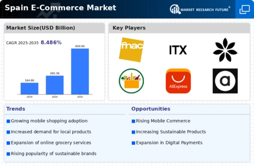 Spain E Commerce Market Infographic