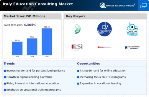Italy Education Consulting Market Infographic