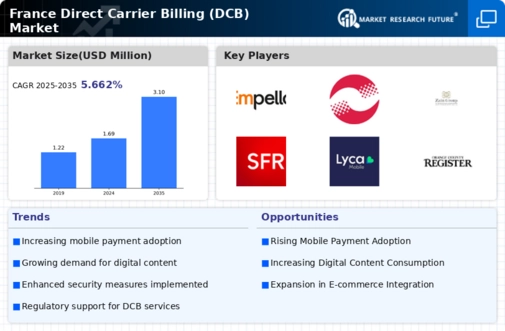 France Direct Carrier Billing Market Infographic