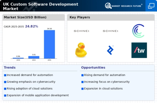 UK Custom Software Development Market Infographic