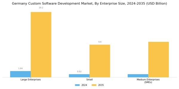 Germany Custom Software Development Market Segment Image 2