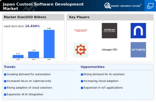 Japan Custom Software Development Market Infographic