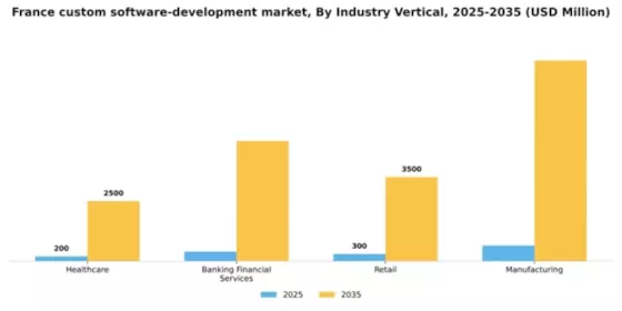 France Custom Software Development Market Segment Image 2