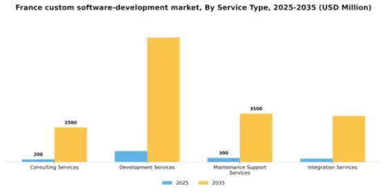 France Custom Software Development Market Segment Image 3