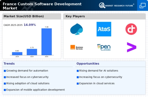 France Custom Software Development Market Infographic