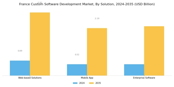 France Custom Software Development Market Segment Image 0
