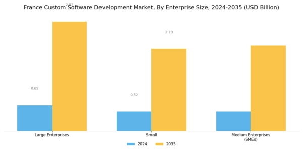 France Custom Software Development Market Segment Image 2