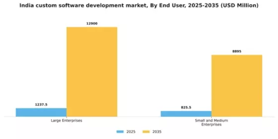 India Custom Software Development Market Segment Image 1