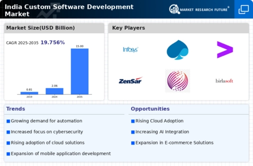 India Custom Software Development Market Infographic