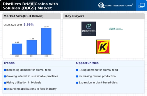Distillers Dried Grains Solubles Market Infographic