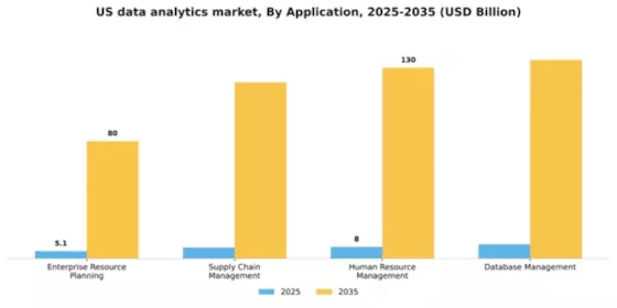 US Data Analytics Market
 Segment Image 0