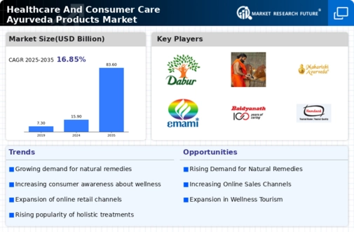 Healthcare Consumer Care Ayurveda Products Market  Infographic