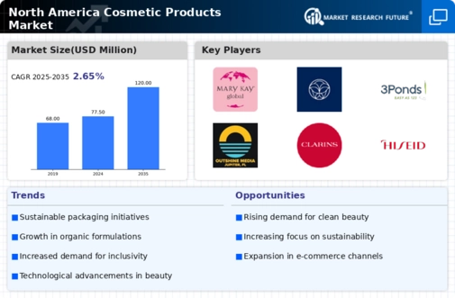 North America Cosmetic Products Market Infographic