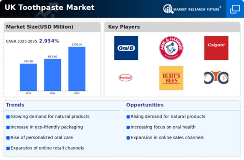 UK Toothpaste Market Infographic