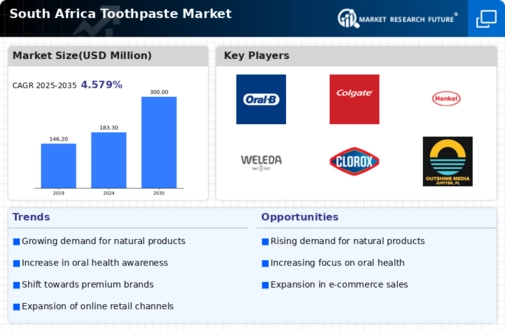 South Africa Toothpaste Market Infographic