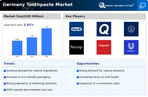 Germany Toothpaste Market Infographic