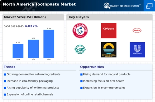 North America Toothpaste Market Infographic