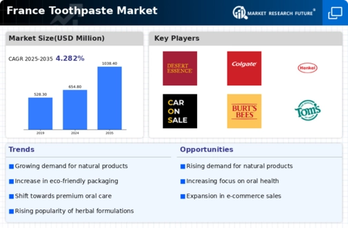 France Toothpaste Market Infographic
