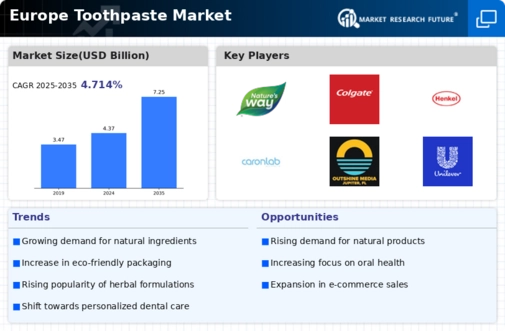 Europe Toothpaste Market Infographic