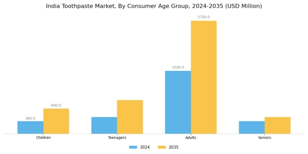 India Toothpaste Market Segment Image 1