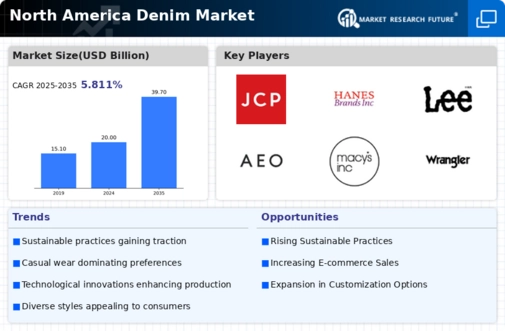 North America Denim Market Infographic