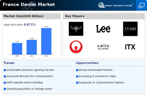 France Denim Market Infographic