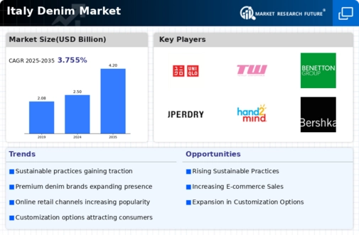 Italy Denim Market Infographic