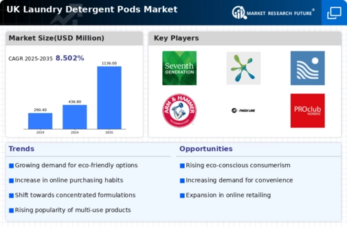 UK Laundry Detergent Pods Market Infographic