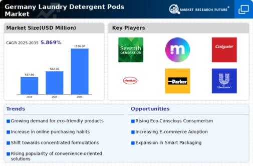 Germany Laundry Detergent Pods Market Infographic