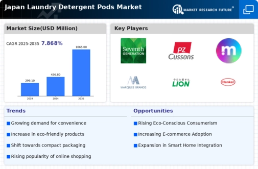 Japan Laundry Detergent Pods Market Infographic