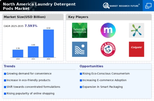 North America Laundry Detergent Pods Market Infographic