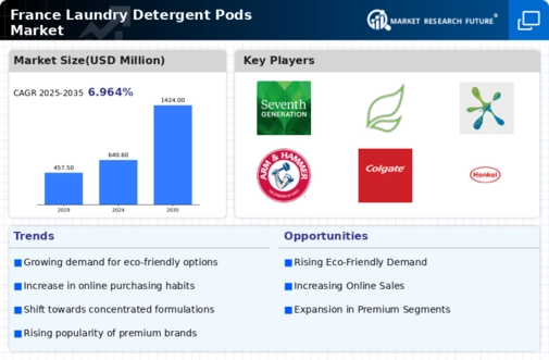 France Laundry Detergent Pods Market Infographic