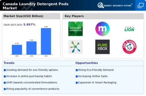 Canada Laundry Detergent Pods Market Infographic