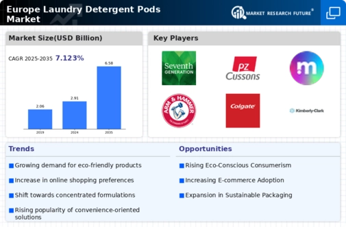 Europe Laundry Detergent Pods Market Infographic