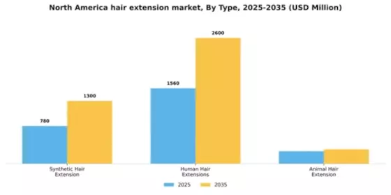 North America Hair Extension Market Segment Image 2