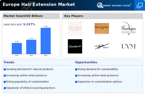 Europe Hair Extension Market Infographic