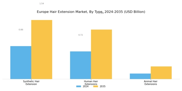 Europe Hair Extension Market Segment Image 0