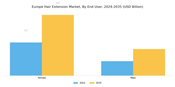 Europe Hair Extension Market Segment Image 1